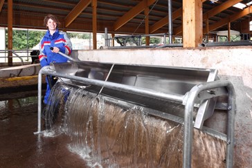 Поилки опрокидывающиеся DeLaval ST150, 200, 250