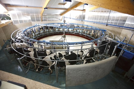 Роторная платформа с внутренним оператором DeLaval HBR