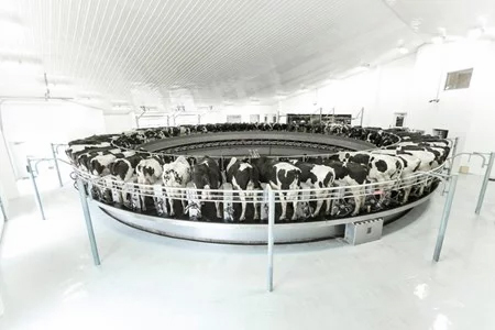 Роторная доильная система DeLaval PR3100HD